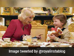 Queen Camilla Hosts Afternoon Tea For 7-Year-Old Girl With Brain Tumour At Windsor Castle