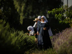 Mexico's "Weed Nuns" Launch Movement To Take Marijuana Back From Narcos