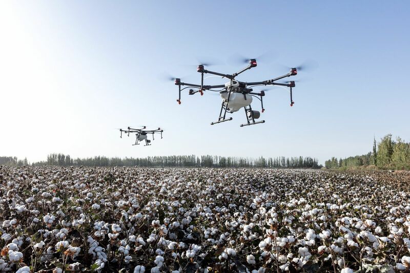 Cotton Mixed through Midday