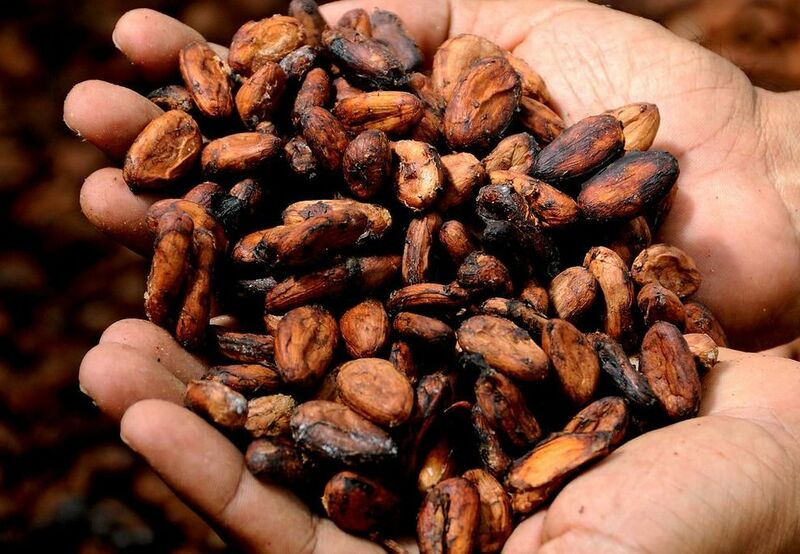 Cocoa Prices Push Higher on Smaller Cocoa Supplies from the Ivory Coast