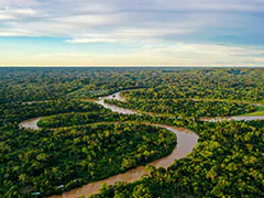 3,000-Year-Old City Hidden In Amazon Rainforest Discovered