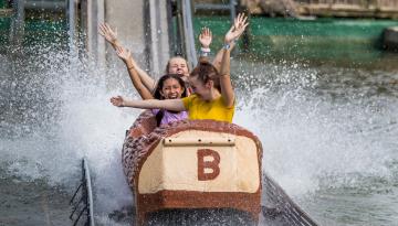 Auckland's Rainbow's End ride closes after log tips over with people onboard