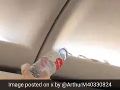 Video: AirAsia Passengers Discover Live Snake Slithering In Overhead Cabin On Bangkok Flight