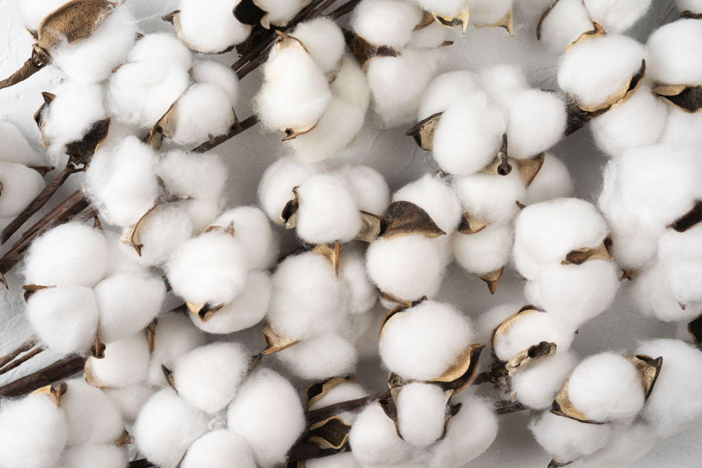 Nearby Cotton Extends Rally to 3-Month Highs