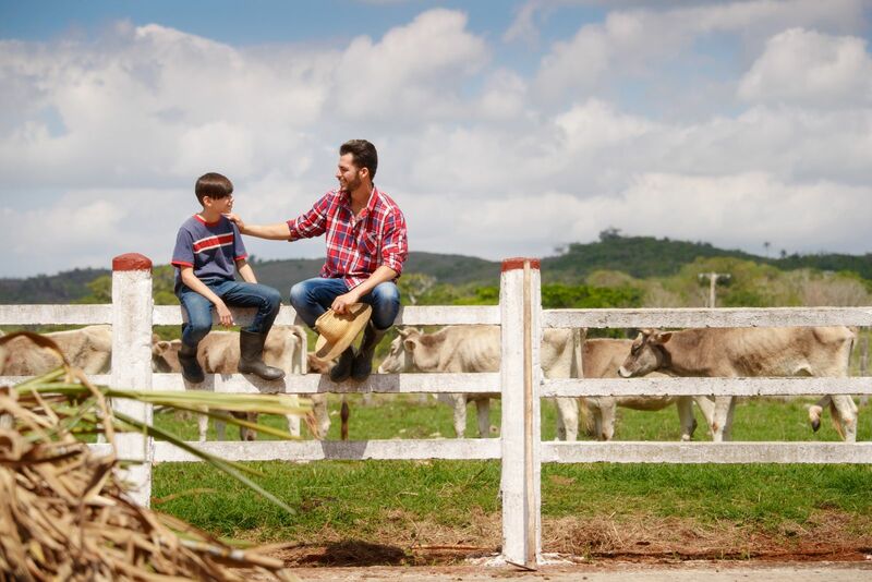 Cattle Close Red On Monday, but Off the Lows