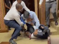 MMA Ring Or Maldives Parliament? Punches, Kicks, Hair Pulled During Session