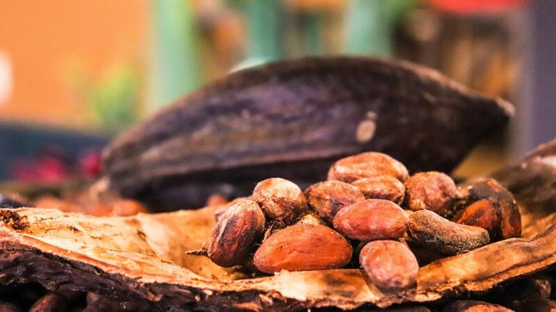 Cocoa Prices Soar as Global Supply Fears Mount