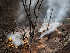 "It Was Raining Ash": At least 99 dead in Chile wildfires