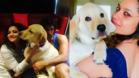 Ankita Lokhande mourns the death of her dog Scotch, gifted by Sushant Singh Rajput: ‘Mamma will miss you…’