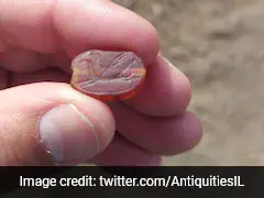 Pics: Israeli Man Finds 2,800-Year-Old Assyrian Scarab Amulet While Hiking