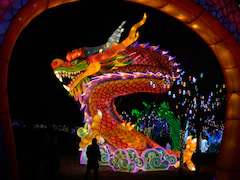 "Year Of The Dragon": 10 Facts About Chinese New Year 2024