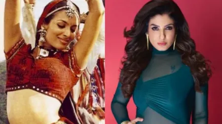 Raveena Tandon says she turned down ‘Chaiyya Chaiyya’ after Shah Rukh Khan approached her, was afraid of being stereotyped