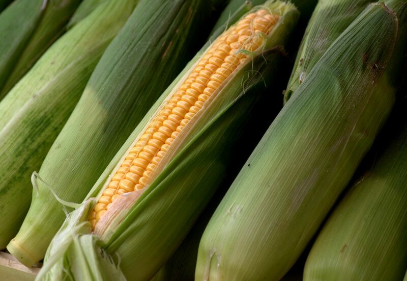 Corn Drops into Friday Afternoon