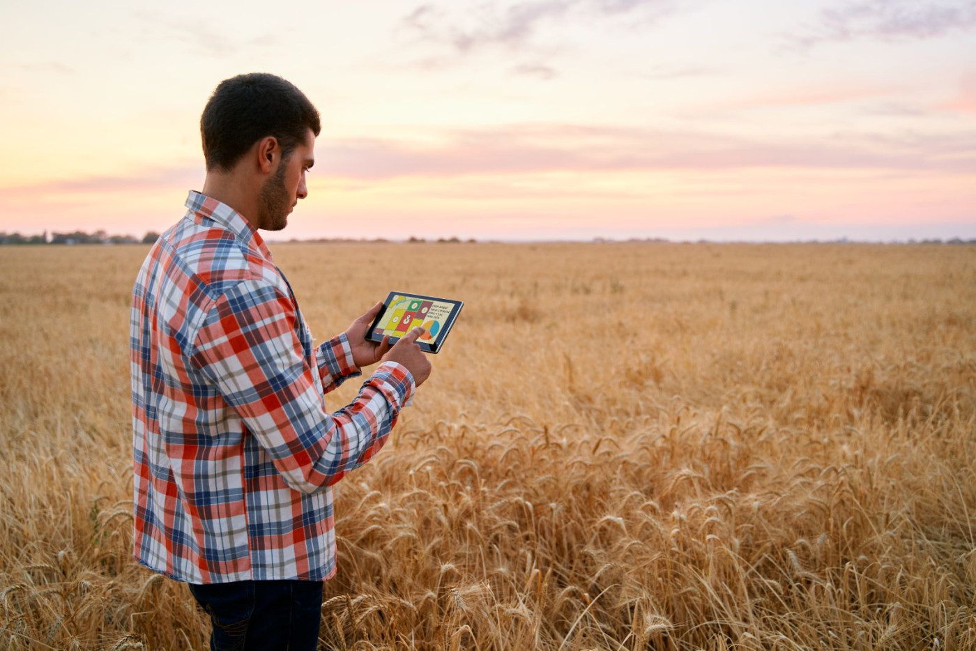 Wheat Dropping Double Digits on Thursday