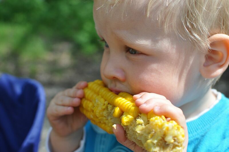 Corn Bears Are Eating the Bull's Lunch