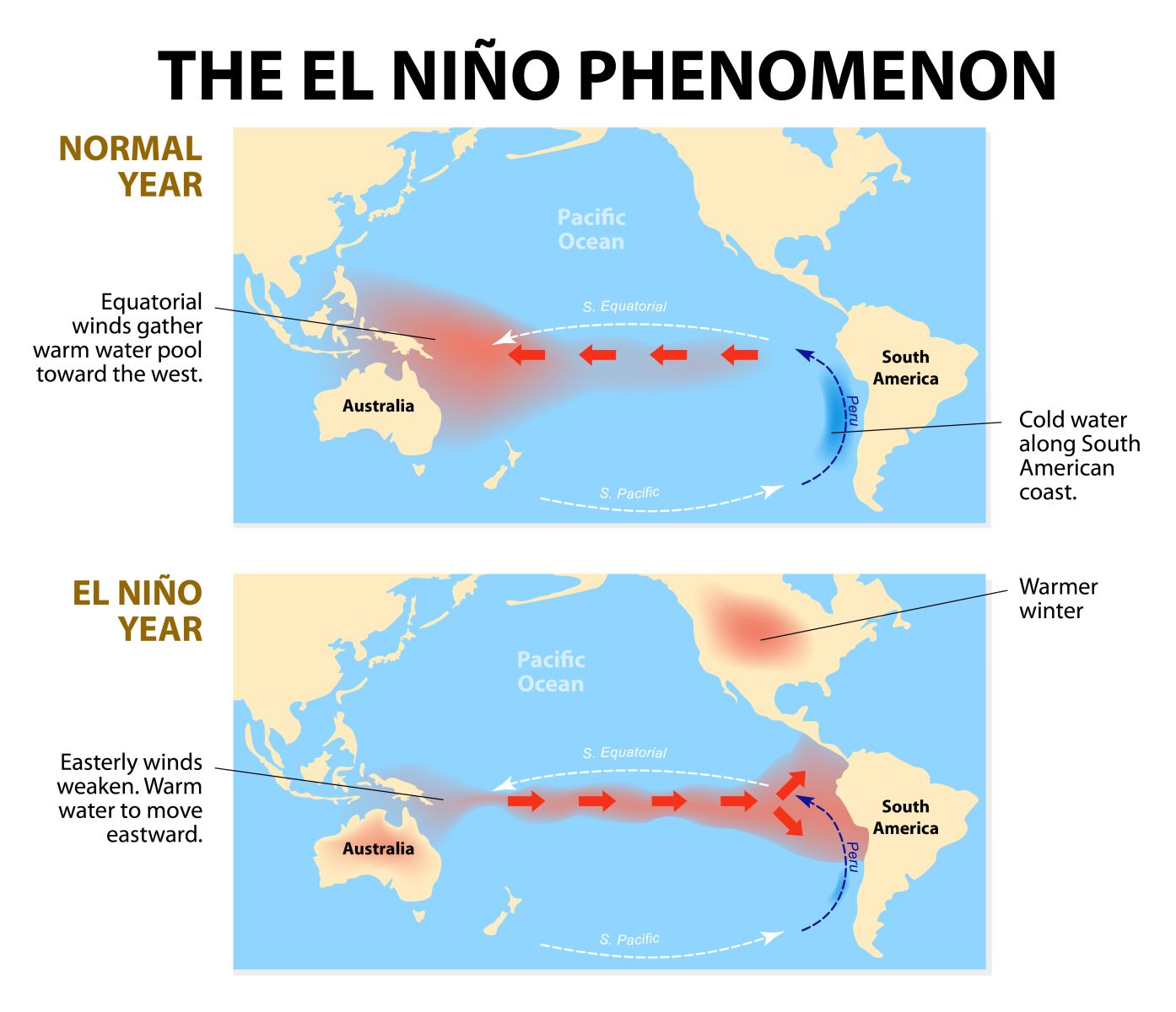 Scavenger Hunt: Clues to the El Niño transition and soft commodities