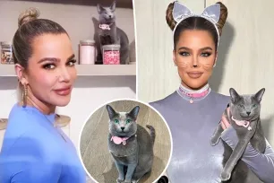 Khloé Kardashian accused of FaceTuning her cat as fans go wild over feline’s changed features: ‘Even the pets aren’t safe’