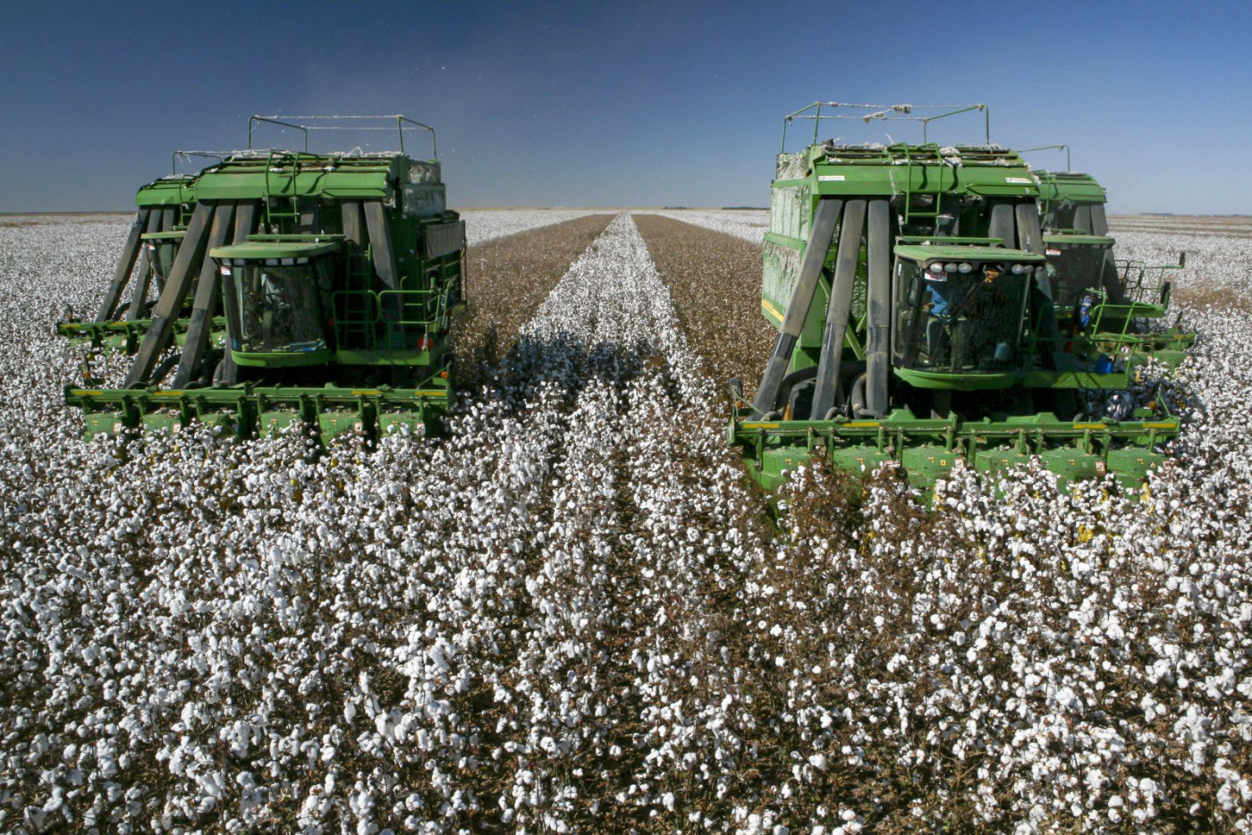 Cotton Down Triple Digits at Midday