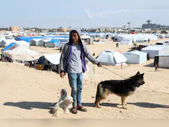 Pet Dogs Bring Both Joy And Worry To Displaced Gaza Teen