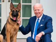 Joe Biden's Dog Bit US Secret Service Agents 24 Times: Report