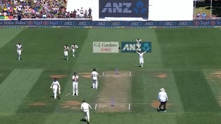 Watch: Kane Williamson’s bizarre run out after mid-pitch collision