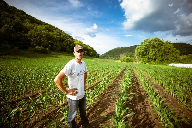 Corn and Soybean Futures Prices Rally