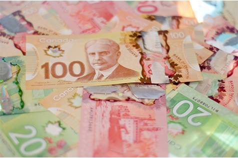 Loonie declines after monthly jobs data