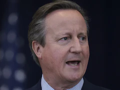 Will UK Send Troops To War-Hit Ukraine? What David Cameron Said