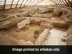 World's Oldest Bread Found in Turkey, Dating Back 8,600 Years