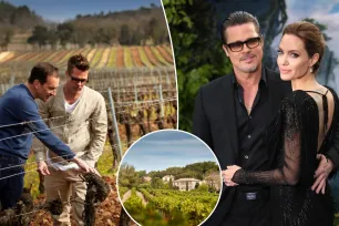 Brad Pitt ready to fight Angelina Jolie, billionaire over Château Miraval: ‘Standing up to bullies’