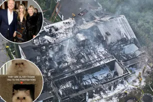 Cara Delevingne’s parents say daughter is ‘devastated’ after LA mansion burned down, reveal cause of fire