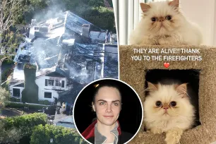 Cara Delevingne announces cats survived devastating house fire after cryptic post: ‘They are alive!!’