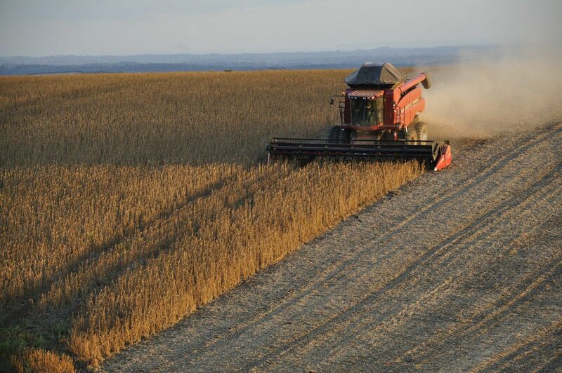 Grain Spreads: Tariffs on Russian Grain