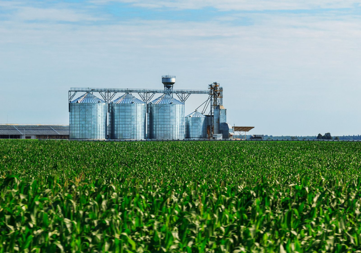 What We Already Know About Grain Stocks and Expected Acres (2024)