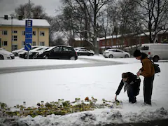 Bullying Was Motive Behind Finland School Shooting: Cops