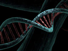 Airborne DNA Can Be Extracted To Be Used For Forensic Analysis, Study Finds