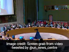 "You're Making Ground Shake": Earthquake Interrupts UN Briefing On Gaza