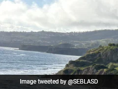 Pilot And Dog Swim To The Shore After Surviving Plane Crash Off California Coast