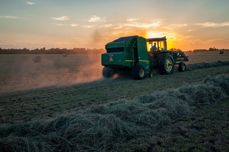 Grain Markets Stuck in a Rut