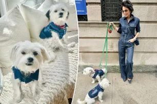 Bethenny Frankel coordinates with her dogs in denim outfits — and matching $10K Chanel purse