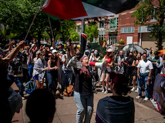 Palestinian Flag Raised At Harvard As Anti-Israel Protests Swell: 10 Facts