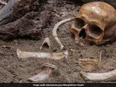 5 Skeletons Missing Hand And Feet Found At Hitler's Military Headquarters In Poland