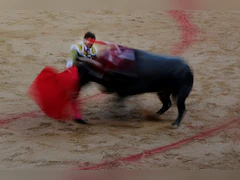 Spain Scraps National Bullfighting Award In Cultural Shift, Sparks Debate