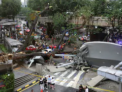 47-Year-Old Man Killed After Massive Tree Falls On Busy Malaysia Road