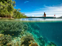 Thailand Closes Island After Discovery Of Extensive Coral Bleaching