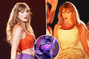 Taylor Swift fans outraged after pic of baby on concert floor in Paris goes viral