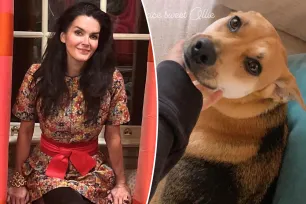 Angie Harmon sues Instacart and driver she claims fatally shot her dog