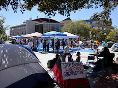 Police Enter Another US University As Palestine Protesters Occupy Building