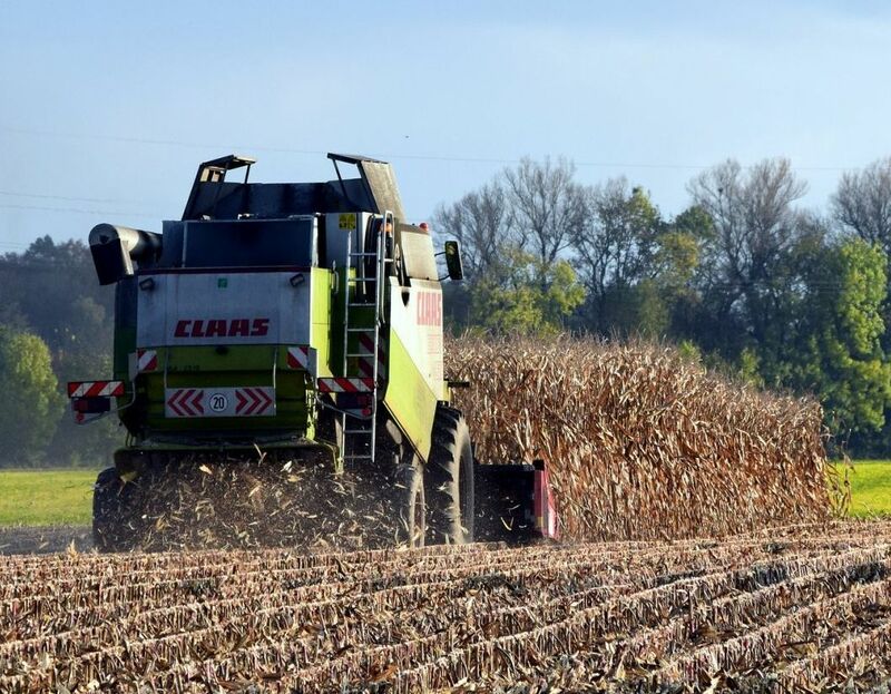 Corn Starting Off Monday with Strength at Midday