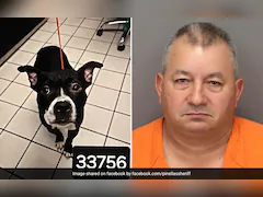 US Man Accused Of Beheading Dog He Adopted From Shelter One Day Earlier